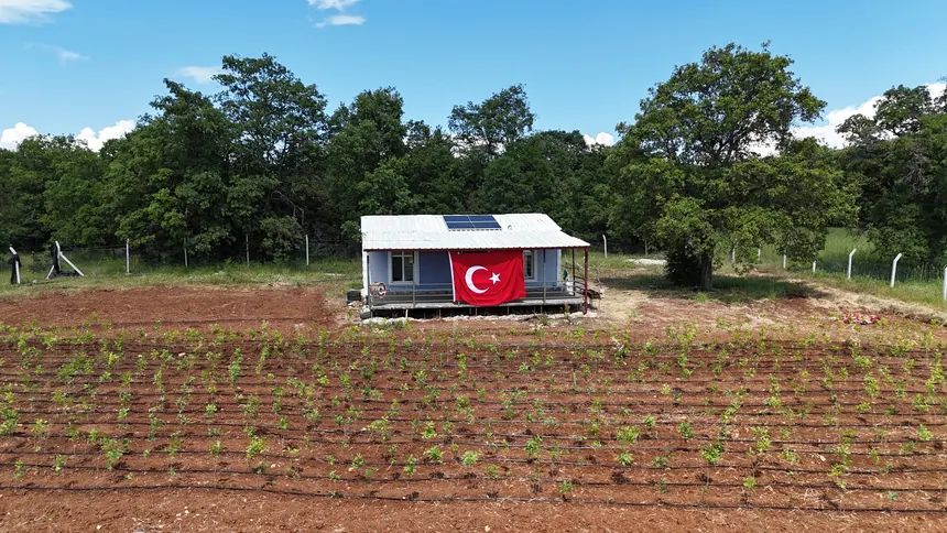 Merkez yapı ve saha
