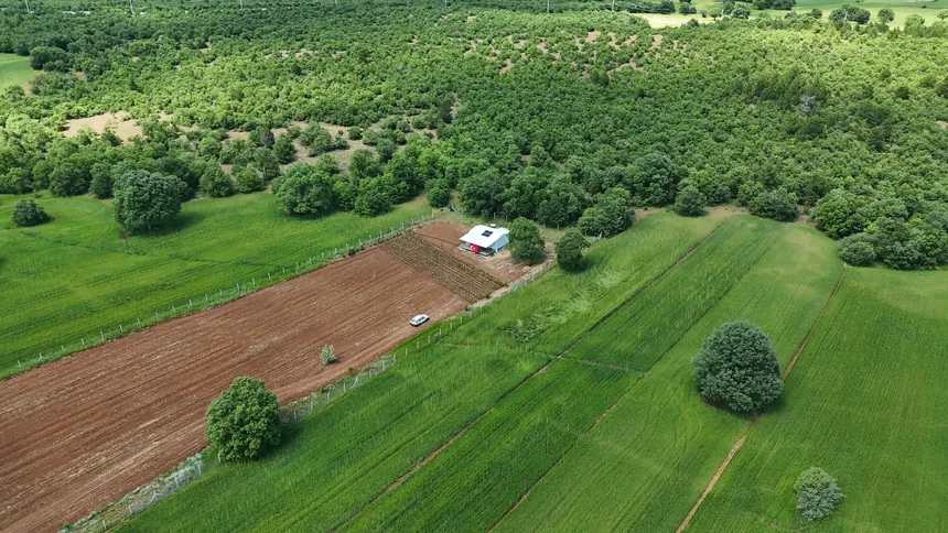 Orman ve saha bağlantısı