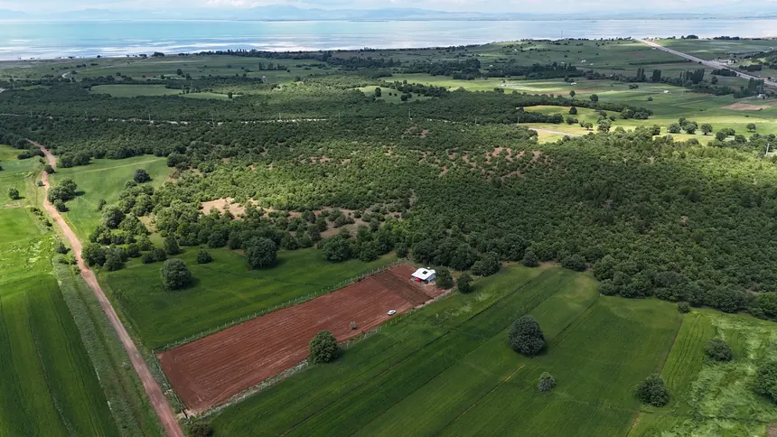 Kuş bakışı proje sahası