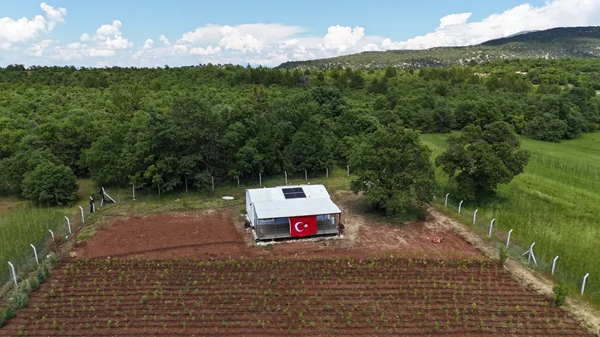 Dikim alanı genel görünüm