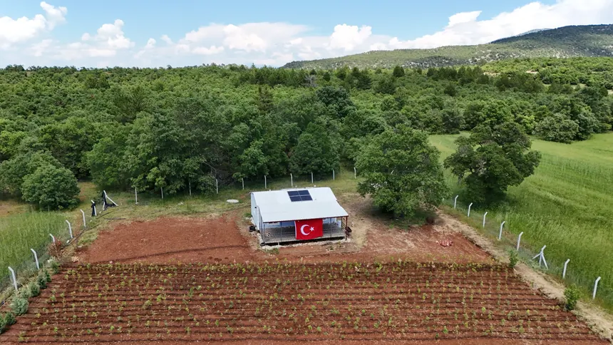 Proje evi ve fidan sıraları