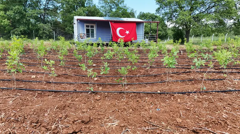 Saha içinden proje evi görünümü